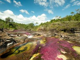 diaporama pps Caño Cristales – Colombie