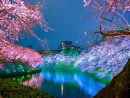 diaporama pps Chidorigafuchi – Japan