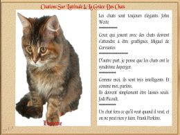 diaporama pps Citations sur les chats