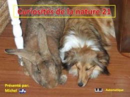 diaporama pps Curiosités de la nature 21