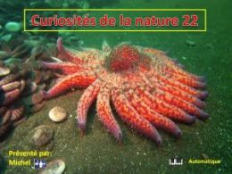diaporama pps Curiosités de la nature 22