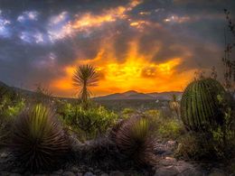 diaporama pps Désert