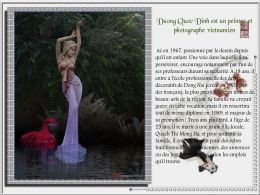 diaporama pps Duong Quoc Dinh – Peintre photographe 2