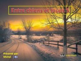 diaporama pps Entre chiens et loups 5