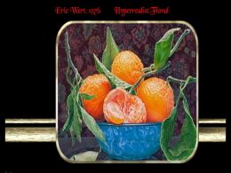 diaporama pps Eric Wert 1976 – Hyperrealist Floral