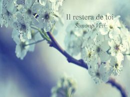 diaporama pps Il restera de toi