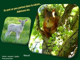 diaporama pps Un peu partout dans la nature