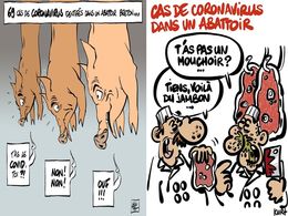 diaporama pps Info actu 31 2020