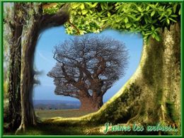 diaporama pps J’aime les arbres