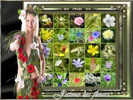 diaporama pps J’aime les fleurs