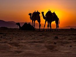 diaporama pps Jordan desert