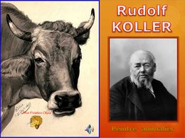 diaporama pps Koller – Peintre animalier