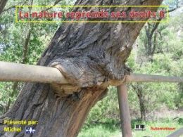 diaporama pps La nature reprend ses droits 6