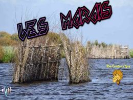diaporama pps Les marais