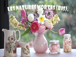 diaporama pps Les natures mortes bis