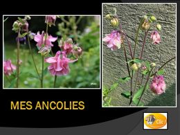 diaporama pps Mes ancolies