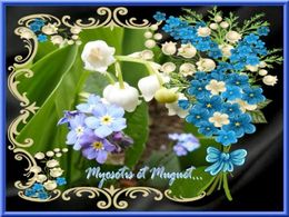 diaporama pps Myosotis et muguet