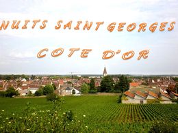 diaporama pps Nuits-Saint-Georges – Côte-d’Or