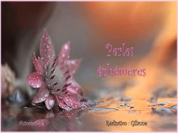 diaporama pps Perles éphémères