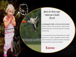 diaporama pps Photos de chiens super volants