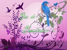 diaporama pps Que de couleurs I