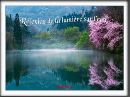 diaporama pps Réflexion de la lumière sur l’eau