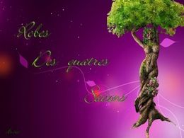 diaporama pps Robes des quatre saisons