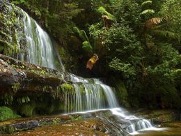 diaporama pps Si je savais peindre le printemps