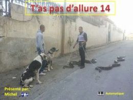 diaporama pps T’as pas d’allure 14