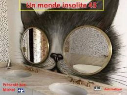 diaporama pps Un monde insolite 43
