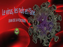 diaporama pps Virus nuls et âne