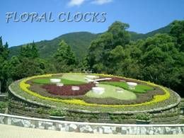 Floral clocks