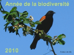 Année de la biodiversité