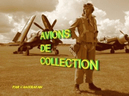 Avions de collection