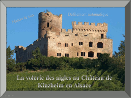 La volerie des aigles au château de Kinzheim en Alsace