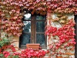 Octobre et les belles couleurs de l'automne