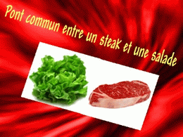 Point commun entre steak et salade