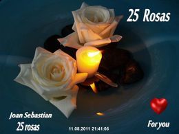 25 rosas