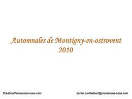 Automnales de Montigny en Ostrevent 2010