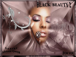 Black beauty 2