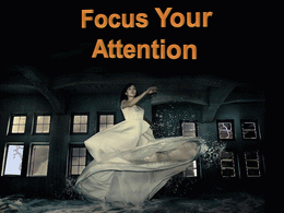 Focus your attention