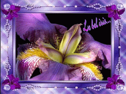 Le bel iris