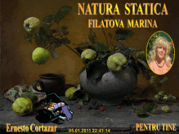 Natura statica Filatova Marina