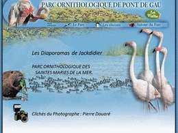 Parc ornithologique de pont de Gau