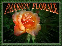 Passion florale