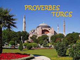 Proverbes turcs