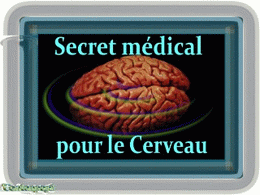 Secret médical sur le cerveau féminin