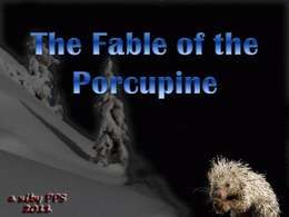 The fable of the porcupine