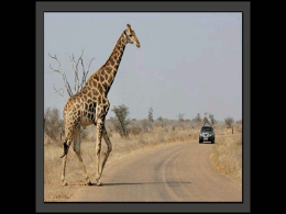 Une autoroute africaine