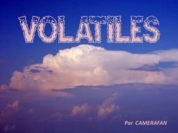 Volatiles